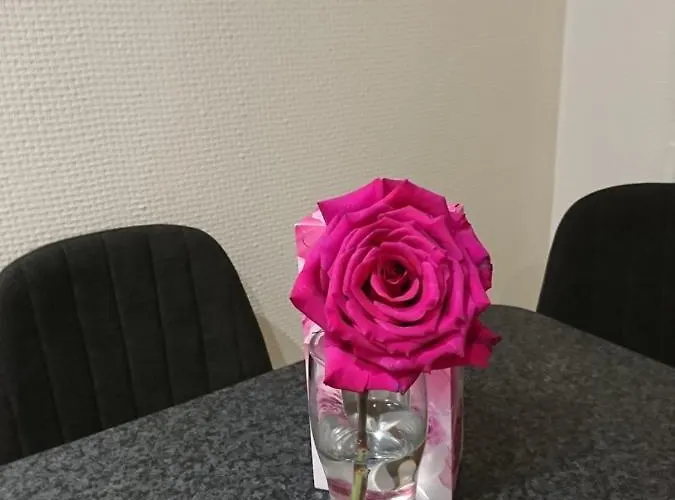 Link Kauno Mariu... *