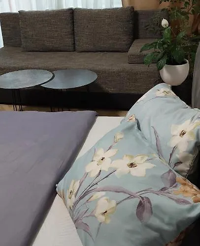 Link Kauno Mariu... Appartement *