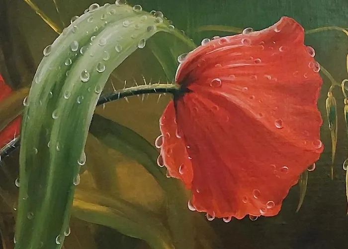 Link Kauno Mariu... *